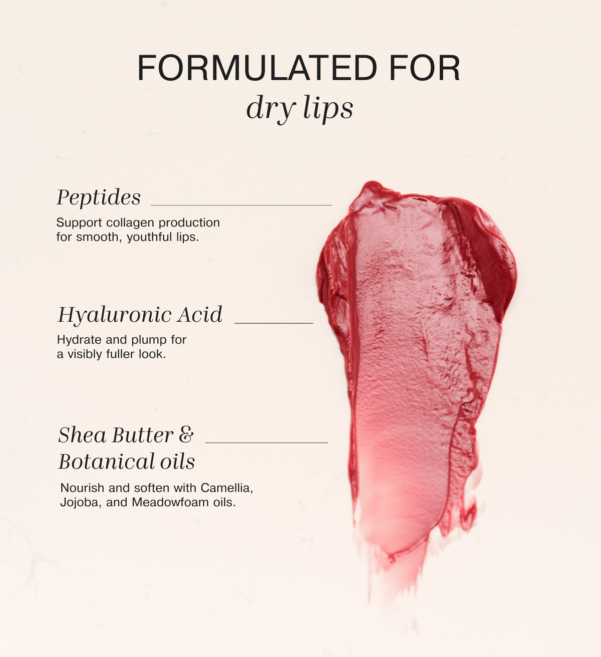 Mini Lip Tint Trio ingredients infographic highlighting peptides, hyaluronic acid, shea butter, and botanical oils.